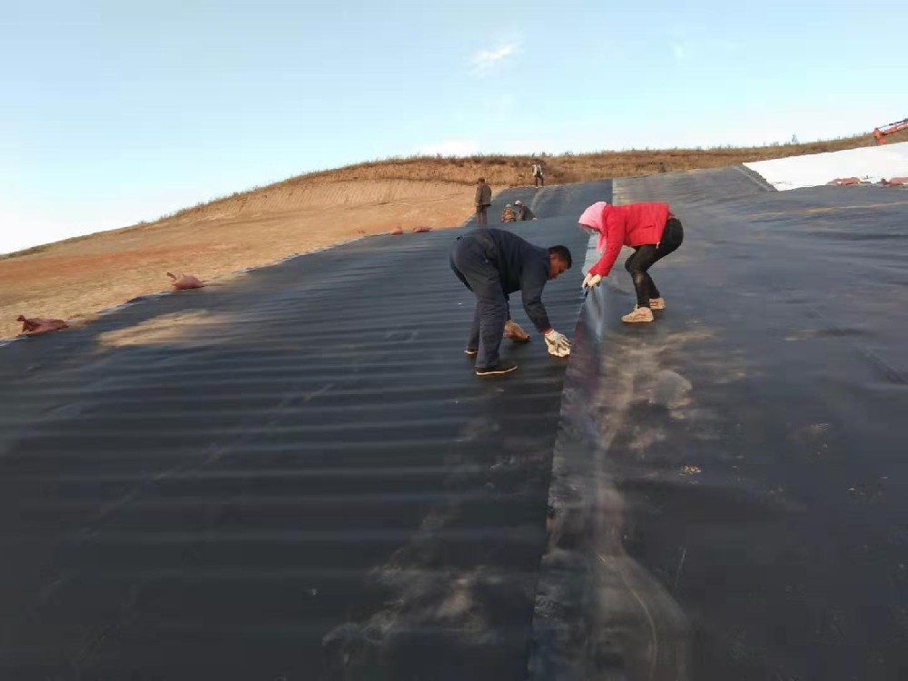 選擇魚塘成人91免费下载膜時需要考慮多種因素